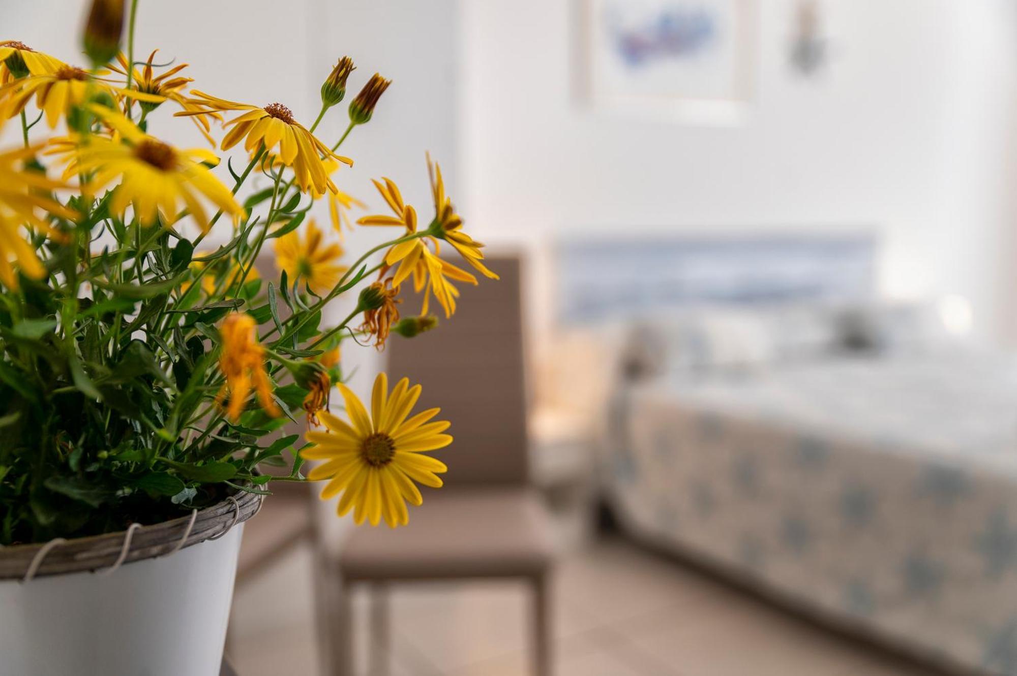 Bed and Breakfast Horizon Альгеро Экстерьер фото